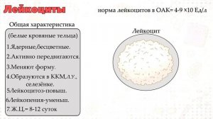 Форменные элементы крови.Эритроциты,Тромбоциты,Лейкоциты.
