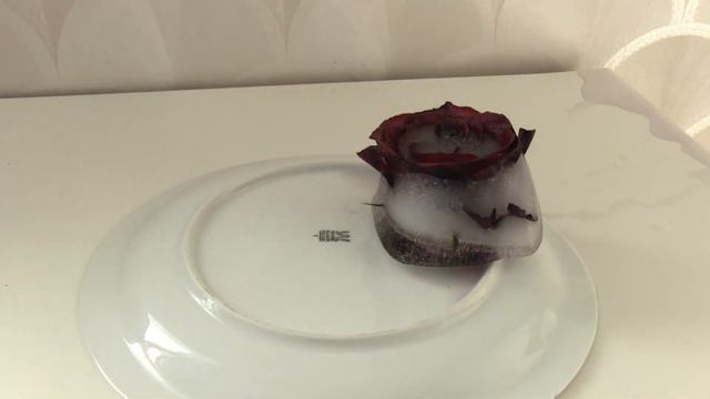 Topiący się lód a w nim róża - timelapse смотреть онлайн