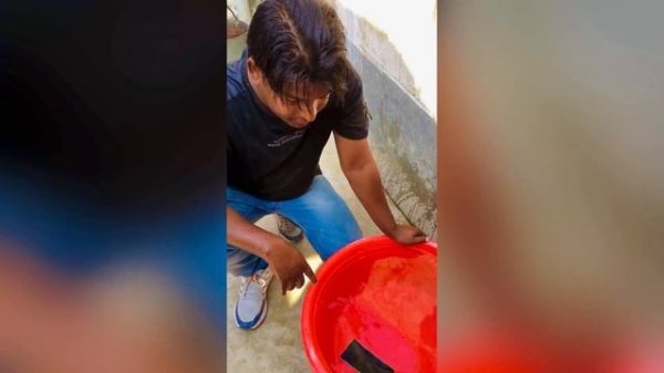 Samsung galaxy S21 fe 5g full waterproof phone New phone good working phone good Camera ?good price