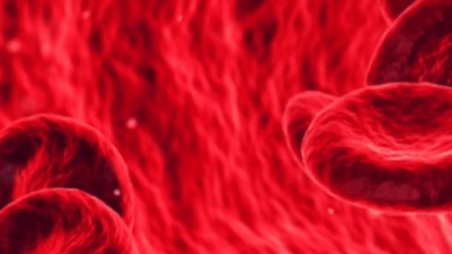 Питание для чистых эластичных сосудов !