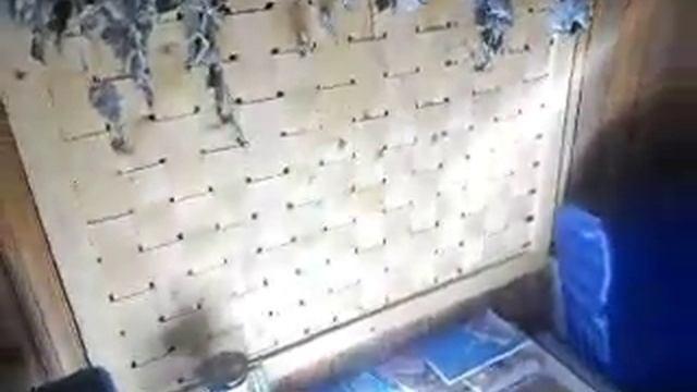 Как сделать плетёный щит. Декоративный... смотреть онлайн