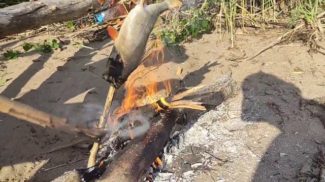 Готовим на костре за 10 минут | Рыбалка на окуня смотреть онлайн