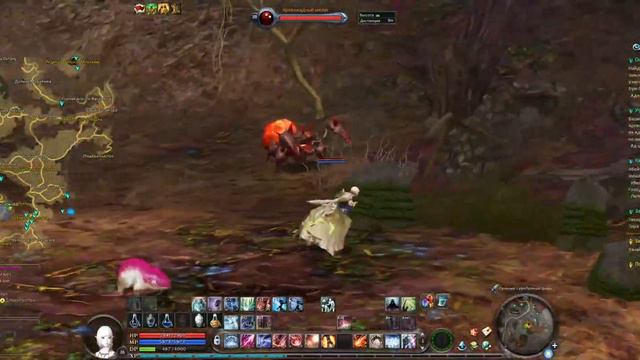 Aion Destiny_первые шаги/все как всегда/разговоры ни о чем! #9