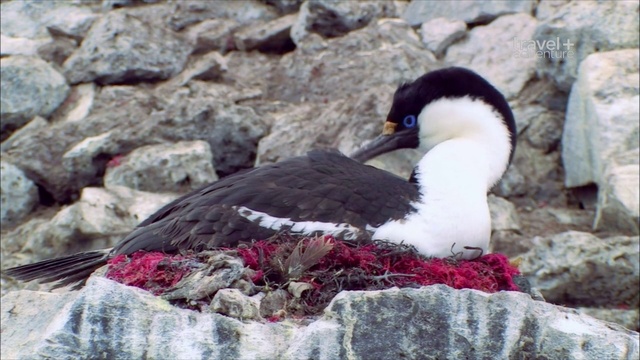 4 смотреть онлайн