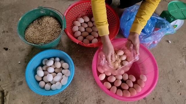 The piglets are freed. Catch chickens and eggs and bring them to the market to sell. (Ep 106). смотреть онлайн