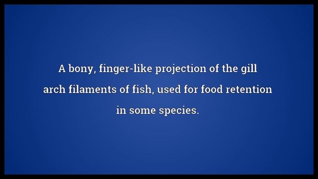 Gill raker Meaning смотреть онлайн