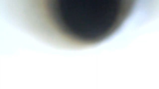 FXE20HR11使用2個禮拜後，第1、4缸的燃燒室狀況