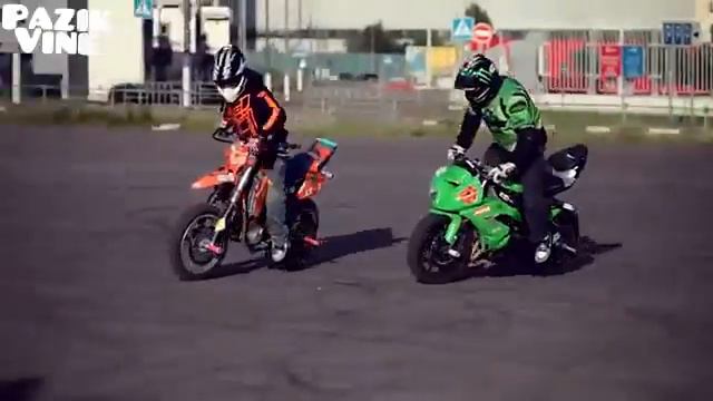 Pazik Vine #1 смотреть онлайн