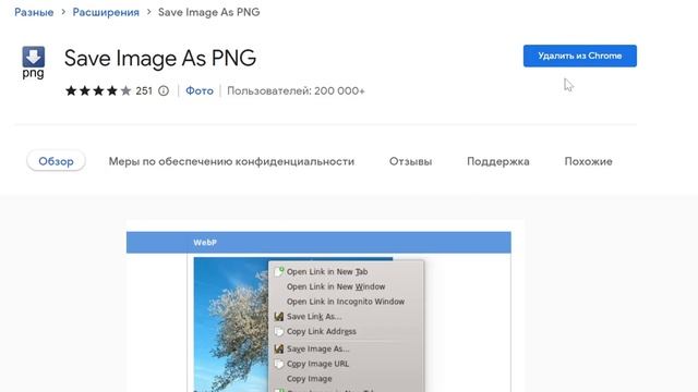 КАК СКАЧАТЬ WEBP WEBM картинки теперь легко #какскачатьwebp #demmasdemetriadi