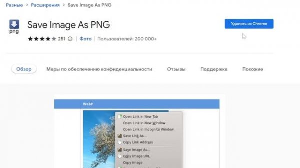 КАК СКАЧАТЬ WEBP WEBM картинки теперь легко #какскачатьwebp #demmasdemetriadi