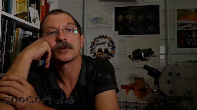 Как я в первый раз поехал ловить ядовитых змей и узнал про дружбу народов. Сказки от Рыбалтовского смотреть онлайн