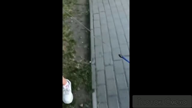 Лучшие мемасы - тик ток сделал мемас для вас