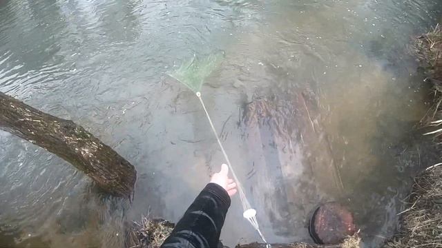 Как забрасывать кастинговую сеть??? Заброс кастинговой сети от первого лица, на малой реке весной. смотреть онлайн