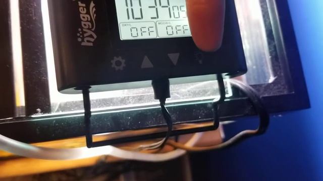 Hygger LED long term review смотреть онлайн