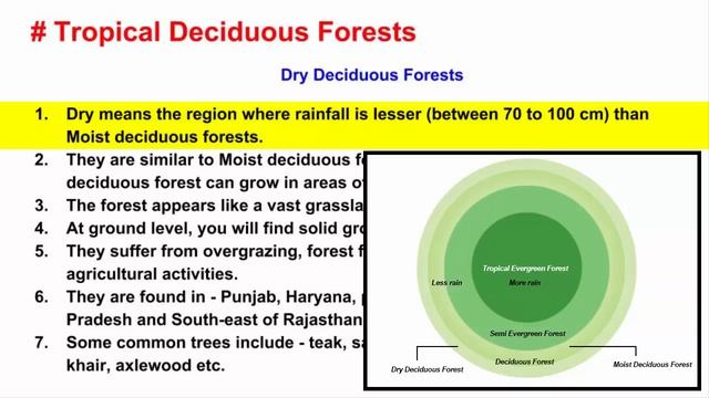 Types of Forests in India - Evergreen, Deciduous, Thorny, Montane, Littoral Swamp смотреть онлайн