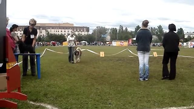 Московская сторожевая Ю Питер Московский 2009 г. смотреть онлайн