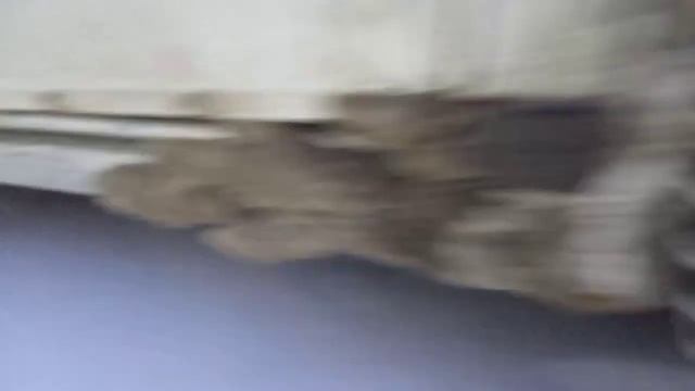 Мастер-классы по автомобилям