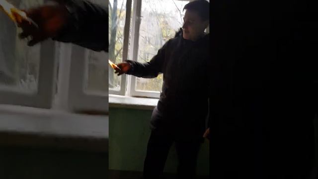 порвал паспорт и сжег смотреть онлайн