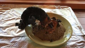 Гадюка 🐍 Змея из песка+сахара+соды +спирта!!! Химический опыт!