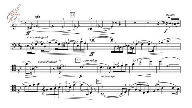 Orchestral excerpts for cello. R. Strauss. Don Quixote. Final смотреть онлайн