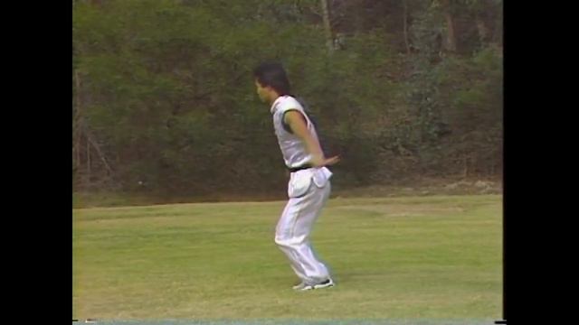 Чой Ли Фут - форма журавля смотреть онлайн