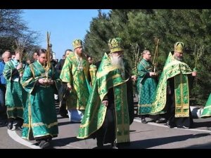 «Когда Ты шел в Иерусалим». Вход Господень в Иерусалим. Вербное воскресение. Никольское