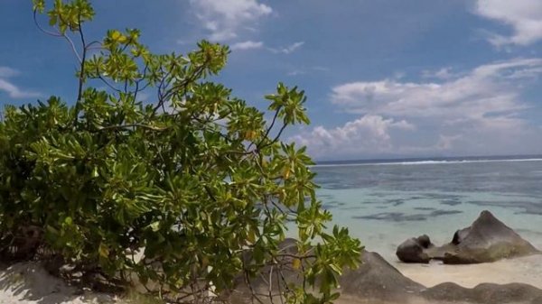 Сейшелы. Остров Праслин и Ла Диг