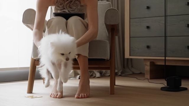 Современный интерьер для семьи архитектора. Квартира в Новосибирске // Семен Бортник смотреть онлайн