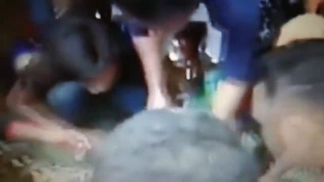 The biggest python eating people. Wa tiba . Dev piton kadini yedi смотреть онлайн