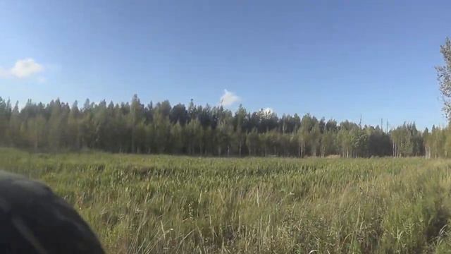 Искали уток добыли Рябчика! смотреть онлайн