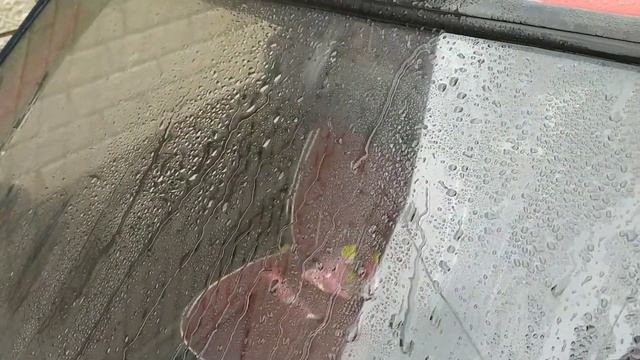 ВЫ НИКОГДА НЕ КУПИТЕ АНТИДОЖДЬ, УЗНАВ ЭТОТ СЕКРЕТ | для лобового стекла | АНТИЛЁД | АНТИГРЯЗЬ смотреть онлайн