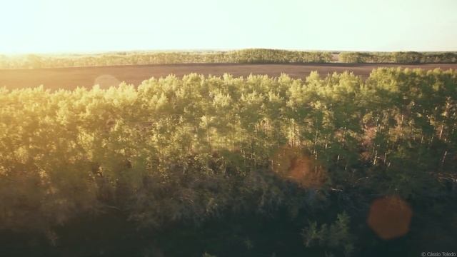 Eliminar El Estrés ? Música Relajante Con Flauta Indígena Para Calmar