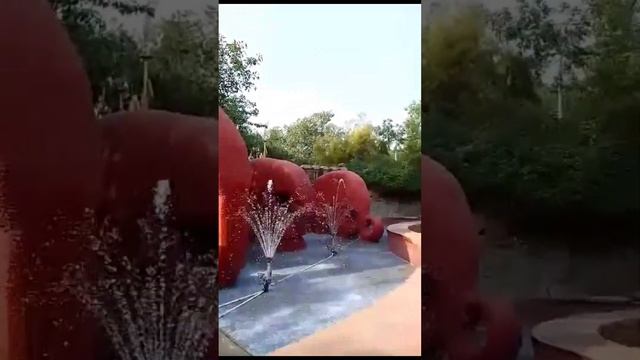 five senses garden #shorts #garden #india смотреть онлайн