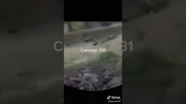 Общая могила армянских солдан смотреть онлайн