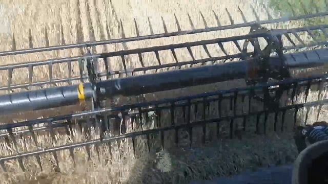 Обкосы пшеницы 2020 года советую его посмотреть смотреть онлайн