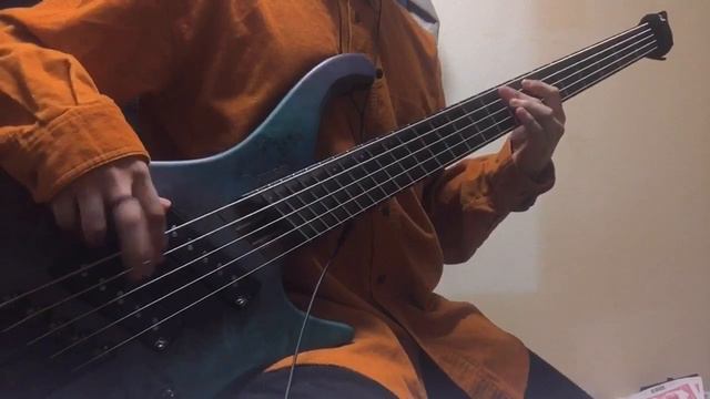 After The Burial/Behold the Crown (bass cover) смотреть онлайн