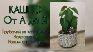 МК. Инструкция плетение КАШПО из бумажной лозы от А до Я. #263