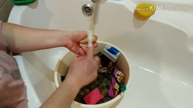 Как правильно поменять воду в аквариуме. смотреть онлайн