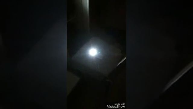 Можно ли получить цыпленка из магазинных яиц?? смотреть онлайн
