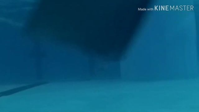 Нырок 50 м в бассейне смотреть онлайн