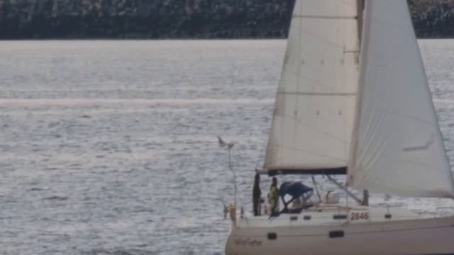 Canon 6D 80-200 f2,8 & 2x teleconv + 5x zoom with magic lantern trick смотреть онлайн