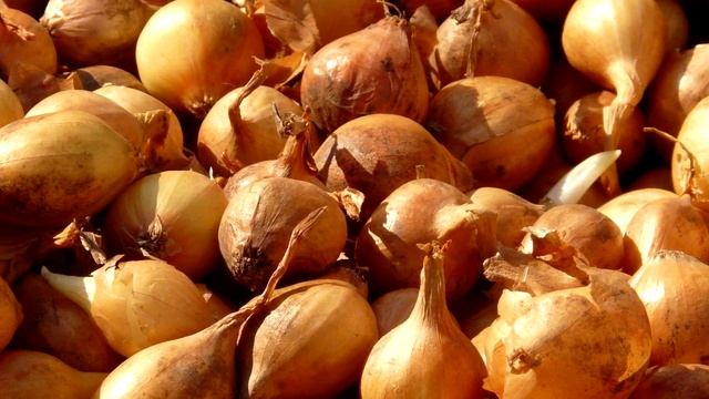 ЗАЛЕЙТЕ ЛУК ПЕРЕД ПОСАДКОЙ ЭТИМ ДЛЯ БОЛЬШОГО УРОЖАЯ! БУДЕТ КРУПНЫЙ ЛУК СДЕЛАЙТЕ ТАК ПРИ ПОСЕВЕ! смотреть онлайн