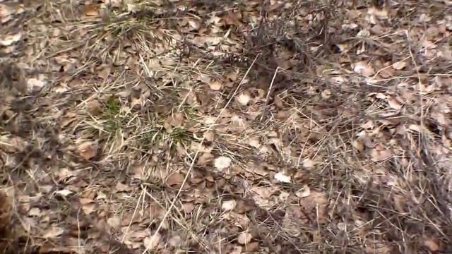 АКА Сигнум МФТ.Сьемка в хорошем качестве. Ноухау: коп экскаватором смотреть онлайн