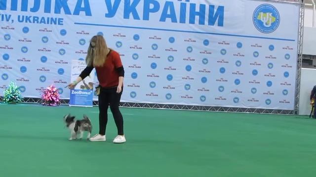 Телегина Руслана метис Лунтик фристайл дети смотреть онлайн