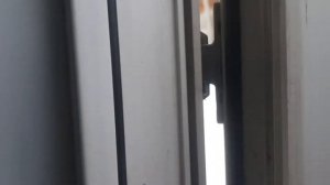 Ремонт пластиковой двери