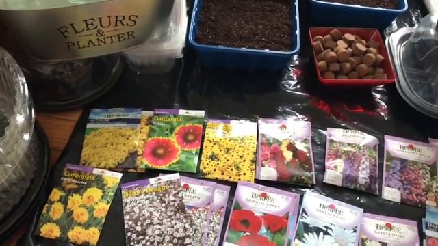 🌼🌸🌺посев семян многолетних 🌼🌸🌺18января2018год😇 смотреть онлайн