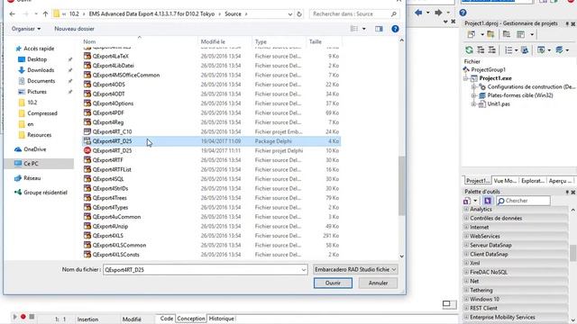 EMS Advanced Data Export 4.13.3.1.7 for D10.2 Tokyo смотреть онлайн