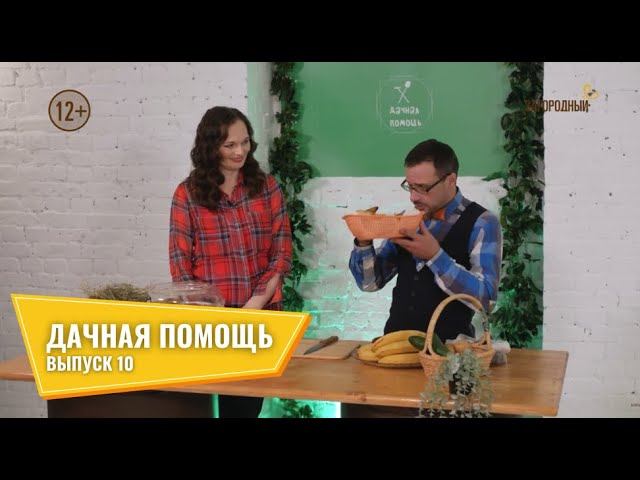 Дачная помощь // Выпуск 10 смотреть онлайн