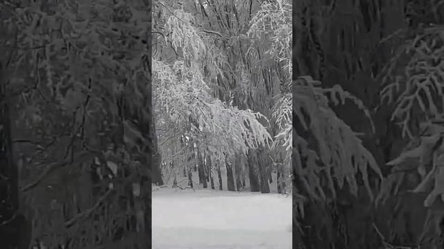 КРЫМ | НОВЫЙ ГОРНОЛЫЖНЫЙ КУРОРТ  КРЫМА | АЙ-ПЕТРИ | 26 КИЛОМЕТР |