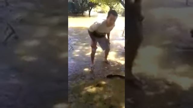 10000в от электрического угря смотреть онлайн